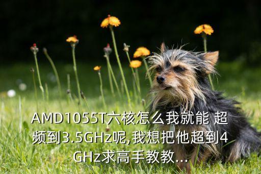 AMD1055T六核怎么我就能 超頻到3.5GHz呢,我想把他超到4GHz求高手教教...