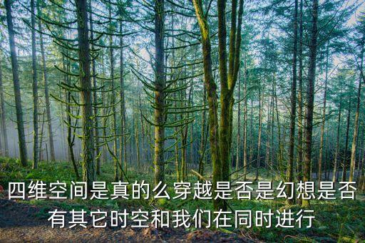 四維空間是真的么穿越是否是幻想是否有其它時(shí)空和我們在同時(shí)進(jìn)行