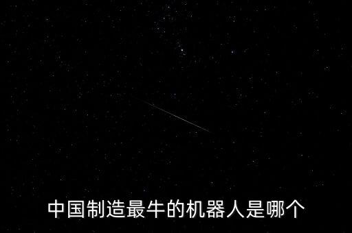 中國做機(jī)器人最牛的公司，中國制造最牛的機(jī)器人是哪個(gè)