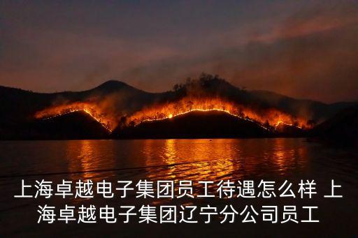 卓越自動(dòng)化待遇怎么樣，上海卓越電子集團(tuán)員工待遇怎么樣 上海卓越電子集團(tuán)遼寧分公司員工