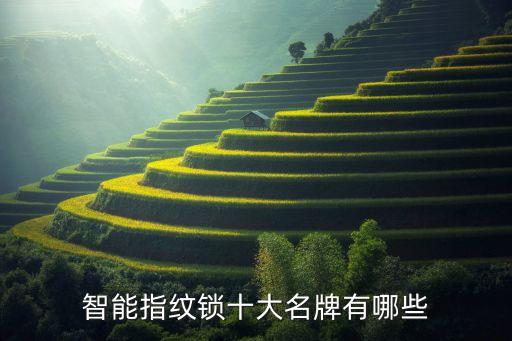 智能指紋鎖十大名牌有哪些