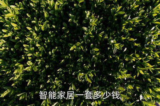 智能家居一套多少錢