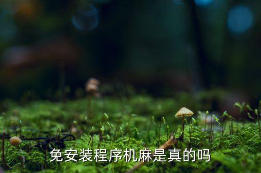 最新免安裝程序麻將機(jī)是真的嗎，老師好請問免安裝麻將程序遙控是真的么
