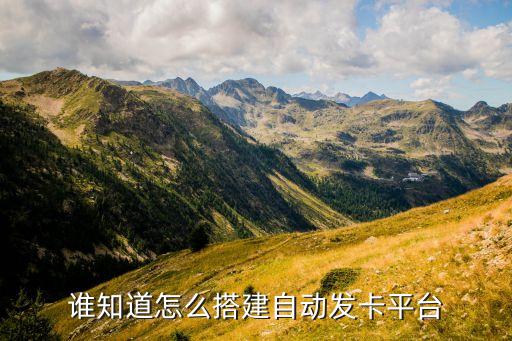 自動發(fā)卡平臺搭建教程，誰知道怎么搭建自動發(fā)卡平臺