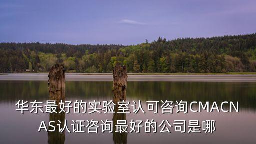 華東最好的實(shí)驗(yàn)室認(rèn)可咨詢(xún)CMACNAS認(rèn)證咨詢(xún)最好的公司是哪