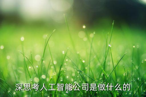 深思考人工智能公司是做什么的
