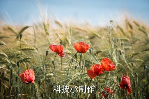 科技小制作