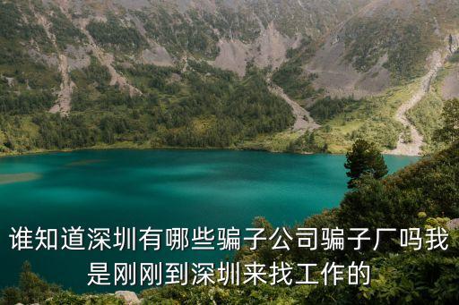誰知道深圳有哪些騙子公司騙子廠嗎我是剛剛到深圳來找工作的