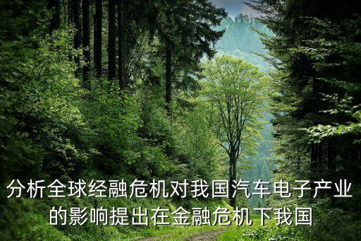 分析全球經(jīng)融危機(jī)對(duì)我國(guó)汽車電子產(chǎn)業(yè)的影響提出在金融危機(jī)下我國(guó)