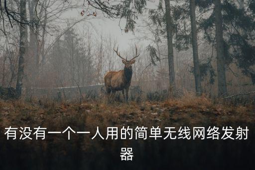 有沒有一個一人用的簡單無線網(wǎng)絡(luò)發(fā)射器