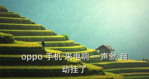 oppo 手機(jī) 來電響 一聲就 自動(dòng)掛了
