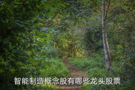 智能制造概念股有哪些龍頭股票