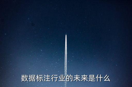 數(shù)據(jù)標(biāo)注行業(yè)的未來是什么