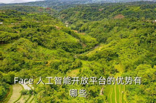 人工智能開放平臺有哪些，F(xiàn)ace 人工智能開放平臺的優(yōu)勢有哪些