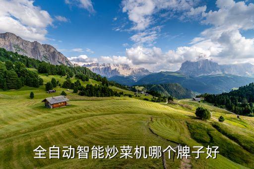 全自動(dòng)智能炒菜機(jī)哪個(gè)牌子好