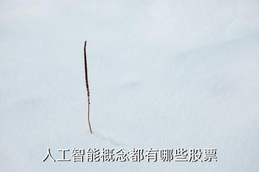 人工智能概念都有哪些股票