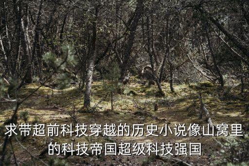 玩出個科技帝國，重未來穿越到現(xiàn)代開科技公司建立帝國的小說