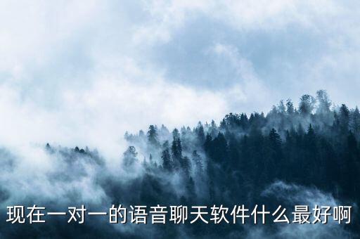 現(xiàn)在一對一的語音聊天軟件什么最好啊