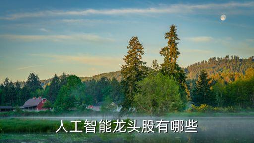 人工智能龍頭股有哪些