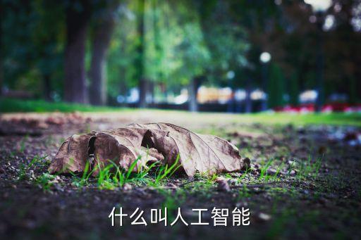 什么叫人工智能