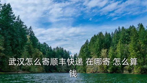 武漢怎么寄順豐快遞 在哪寄 怎么算錢