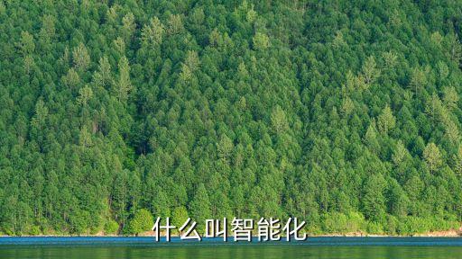什么叫智能化