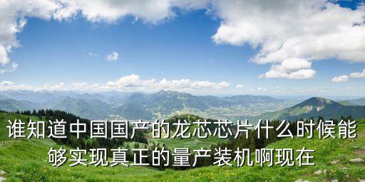 誰知道中國國產(chǎn)的龍芯芯片什么時候能夠?qū)崿F(xiàn)真正的量產(chǎn)裝機(jī)啊現(xiàn)在