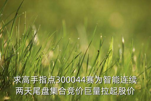求高手指點300044賽為智能連續(xù)兩天尾盤集合競價巨量拉起股價