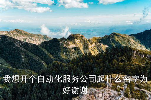 我想開個自動化服務(wù)公司起什么名字為好謝謝