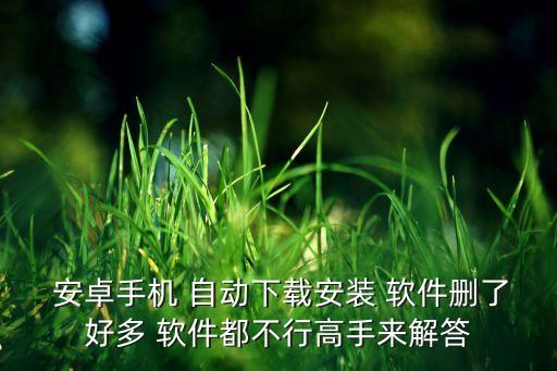  安卓手機 自動下載安裝 軟件刪了好多 軟件都不行高手來解答