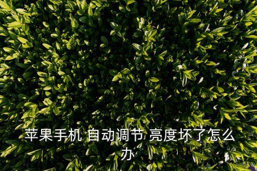 蘋果亮度不能自動了,自動調(diào)整亮度可以生效!