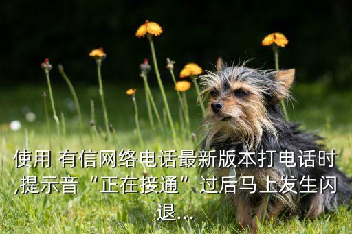 使用 有信網(wǎng)絡(luò)電話最新版本打電話時,提示音“正在接通”過后馬上發(fā)生閃退...