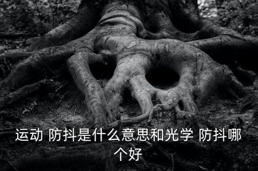 自動防抖和全方位防抖,第一款具備防抖功能手機(jī)誕生