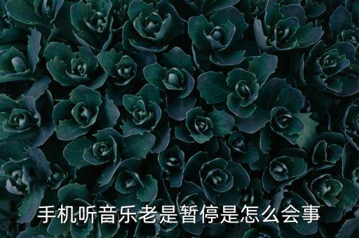 為什么音樂會(huì)自動(dòng)停,音樂會(huì)自動(dòng)關(guān)閉為什么會(huì)暫停?答（15）