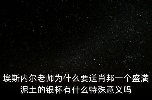 埃斯內(nèi)爾老師為什么要送肖邦一個盛満泥土的銀杯有什么特殊意義嗎