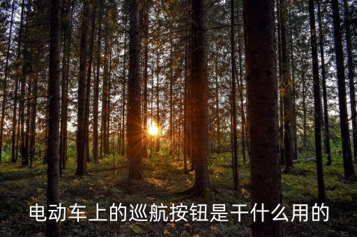 電動(dòng)車(chē)上的巡航按鈕是干什么用的