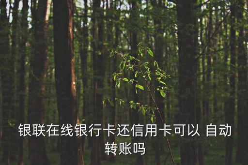  銀聯(lián)在線銀行卡還信用卡可以 自動(dòng) 轉(zhuǎn)賬嗎