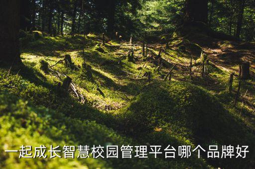 智慧管理平臺(tái)，一起成長(zhǎng)智慧校園管理平臺(tái)哪個(gè)品牌好