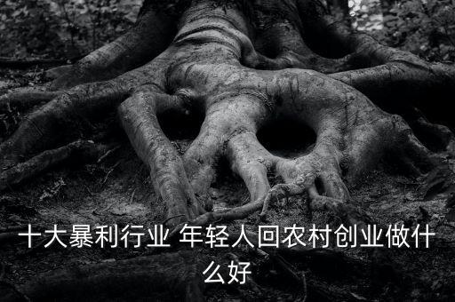十大暴利行業(yè) 年輕人回農(nóng)村創(chuàng)業(yè)做什么好