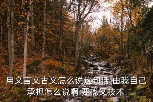 用文言文古文怎么說(shuō)這句話 由我自己承擔(dān)怎么說(shuō)啊 要找又技術(shù)