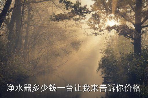 凈水器多少錢一臺讓我來告訴你價格