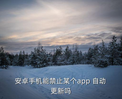 安卓關(guān)閉軟件自動更新,第五步:點(diǎn)擊灰色按鈕即可查看更新提示