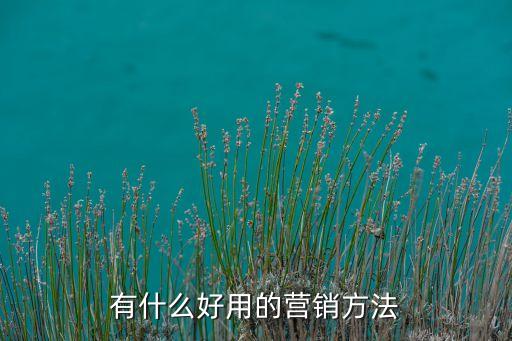 有什么好用的營銷方法