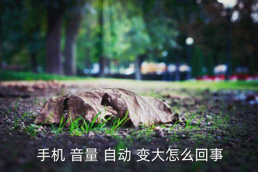  手機(jī) 音量 自動(dòng) 變大怎么回事
