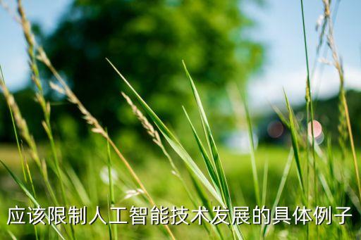 應(yīng)該限制人工智能技術(shù)發(fā)展的具體例子