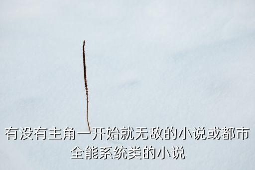 超級(jí)全能系，有沒(méi)有主角一開始就無(wú)敵的小說(shuō)或都市全能系統(tǒng)類的小說(shuō)