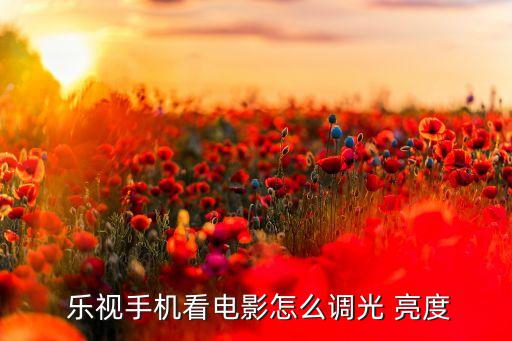  樂視手機看電影怎么調(diào)光 亮度