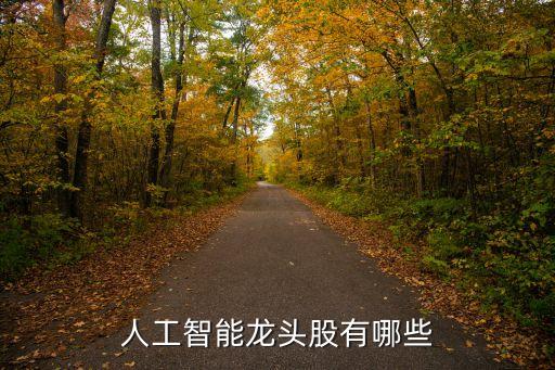 人工智能的龍頭企業(yè)股票，人工智能龍頭股有哪些