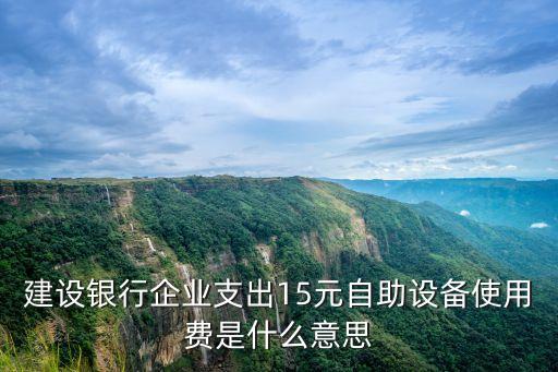 建設(shè)銀行企業(yè)支出15元自助設(shè)備使用費(fèi)是什么意思