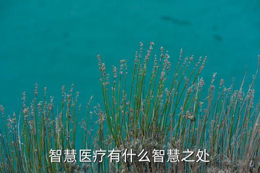 智能醫(yī)療系統(tǒng)，國內(nèi)目前最快速智能的醫(yī)療產(chǎn)品是什么有沒有好的項目
